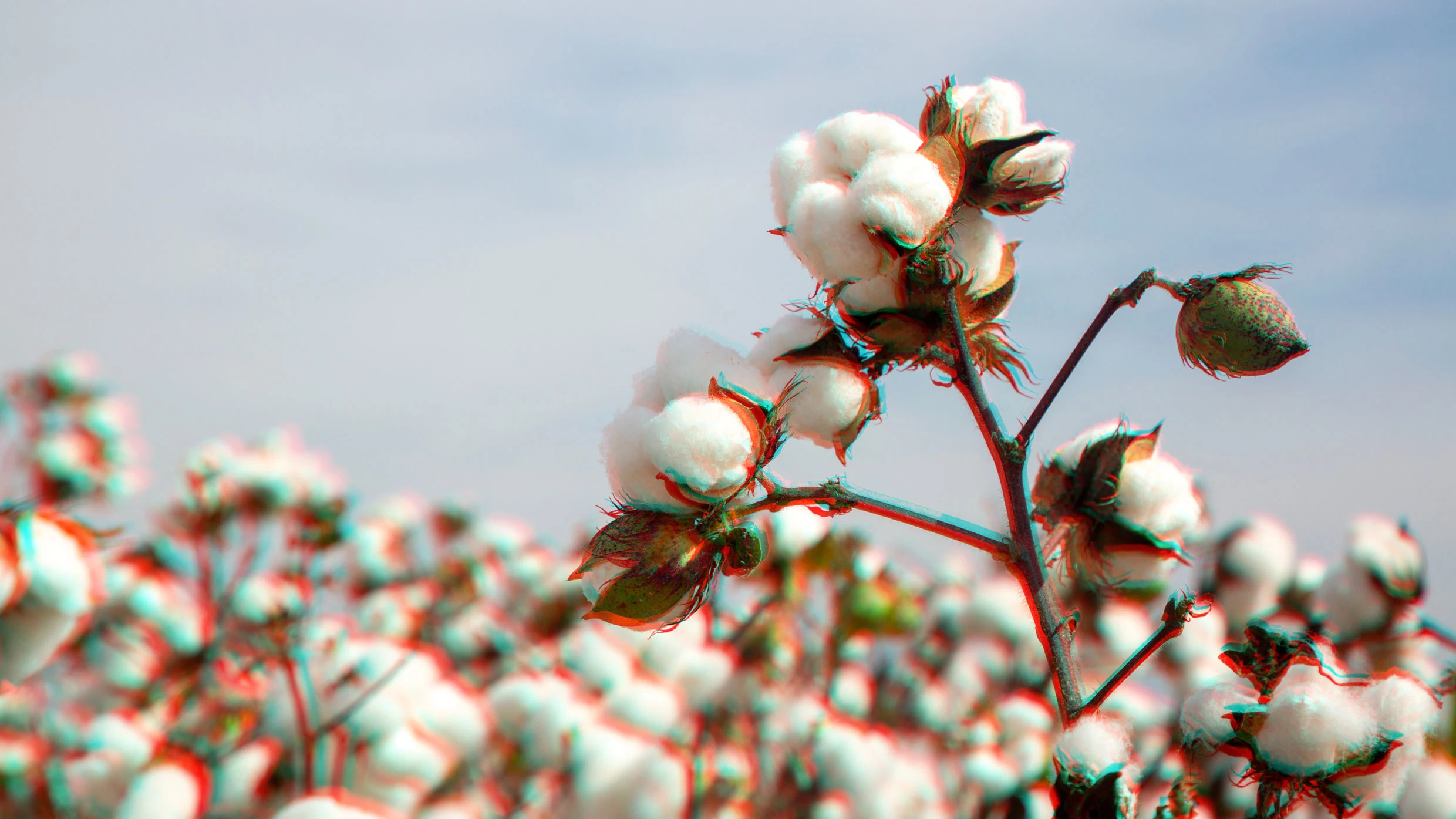 Harnessing AI for Sustainable Farming in Rural Communities