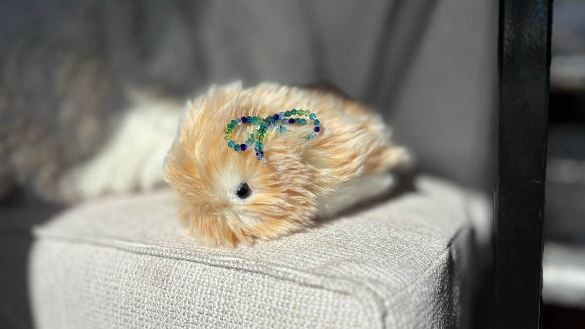 A New Kind of Companion – The Rise of the AI Pet Moflin