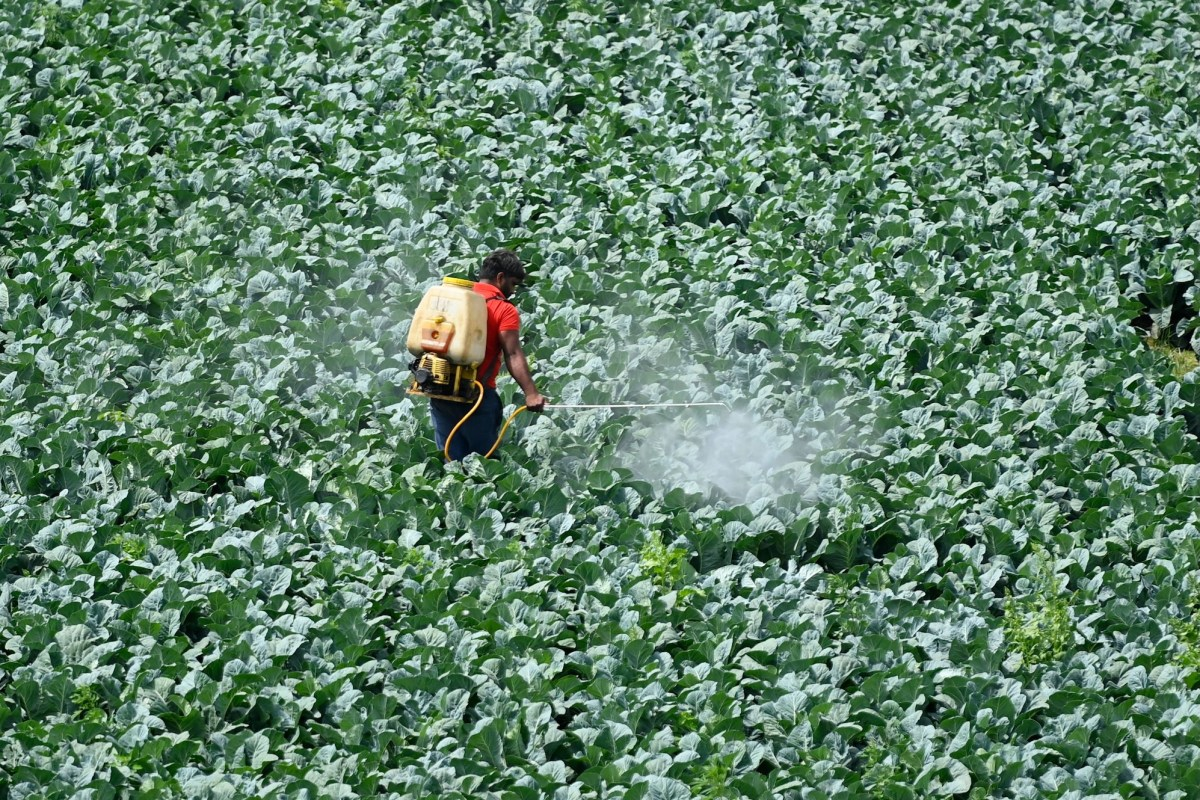 Innovative AI Startup Bindwell Secures $6 Million for Pesticide Solutions