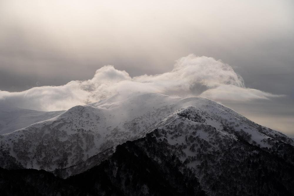 Shaping the Future – CNCF’s Q3 2025 Technology Radar Unveiled