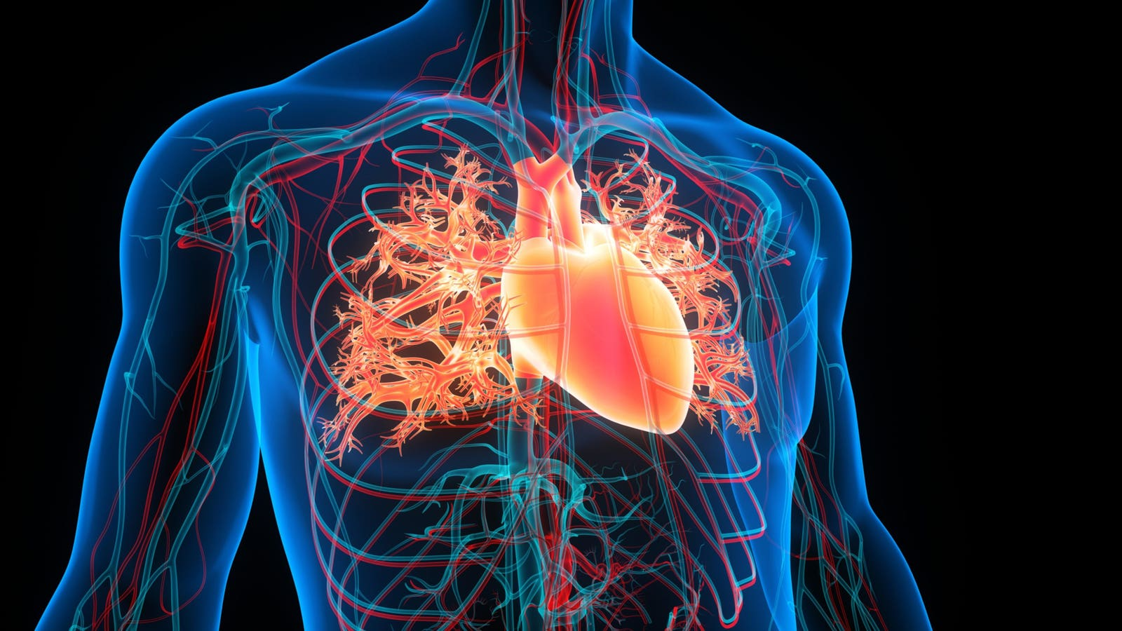 Innovative Heart Solutions – AI and Engineering Transform Cardiology