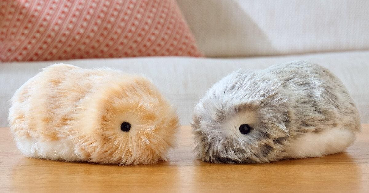 Casio’s Moflin – The Furry Companion Robot with Emotional Depth