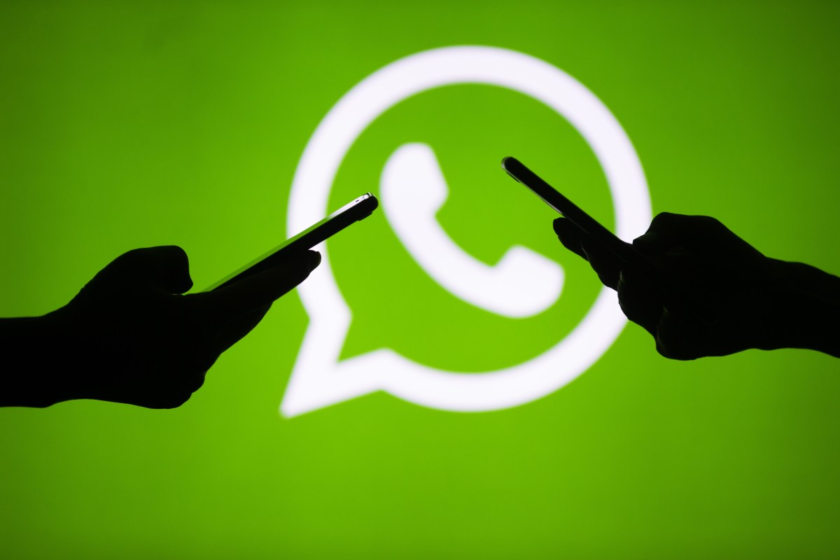 Italy Orders Meta to Suspend WhatsApp AI Chatbot Ban