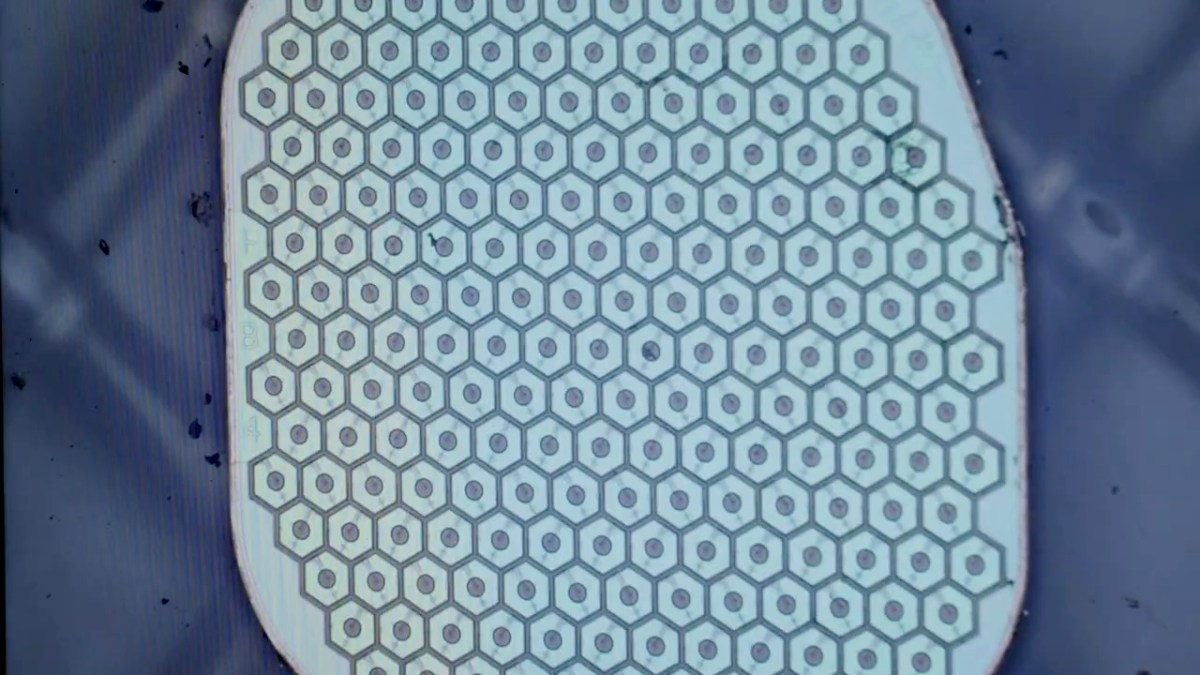 Science Corporation’s Bold Leap into Biohybrid Brain-Computer Interfaces