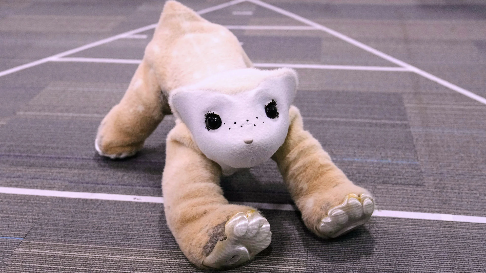A New Era of Companionship – Meet the Familiar Robot Pet