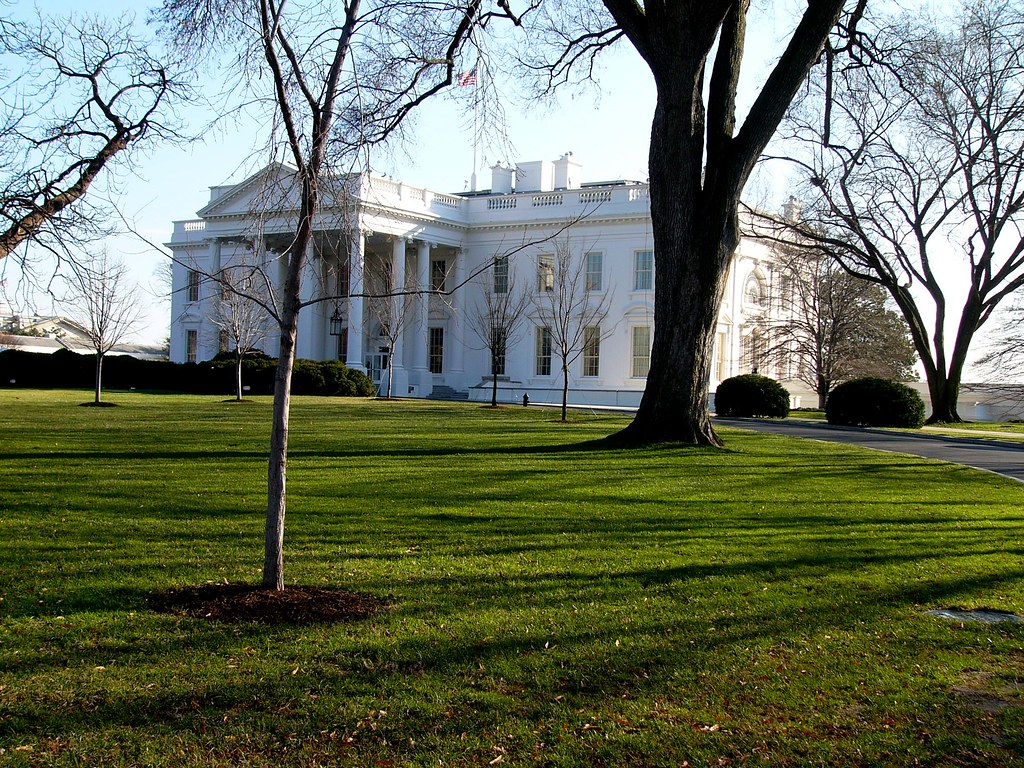 U.S. Government Tightens Control Over AI Model Releases