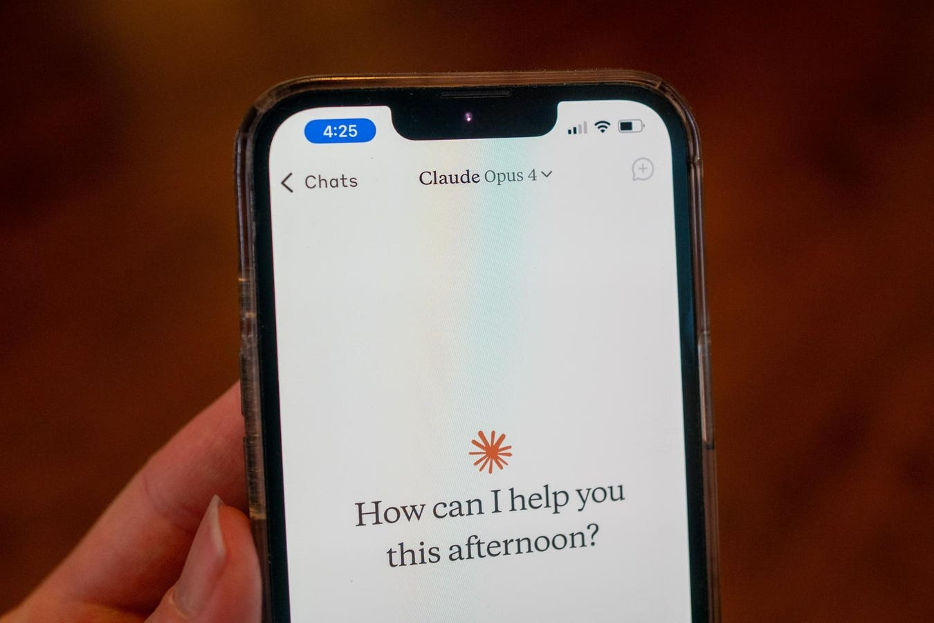AI Publishing Risks – A Wake-Up Call for Privacy and Safety