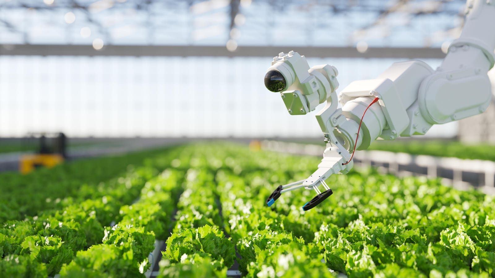 Transforming Farming – How AI and Precision Agriculture Are Revolutionizing Agriculture
